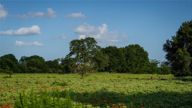 TBD FM 2104, Smithville, TX 78957