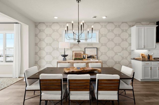 1374 149th Street W, Rosemount, MN 55068