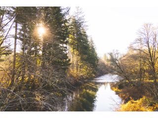Trapp Creek Rd, Toledo, OR 97391