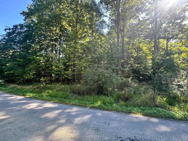 7326 St. Rt. 19 Unit 10 Lot 46&47, Mount Gilead, OH 43338
