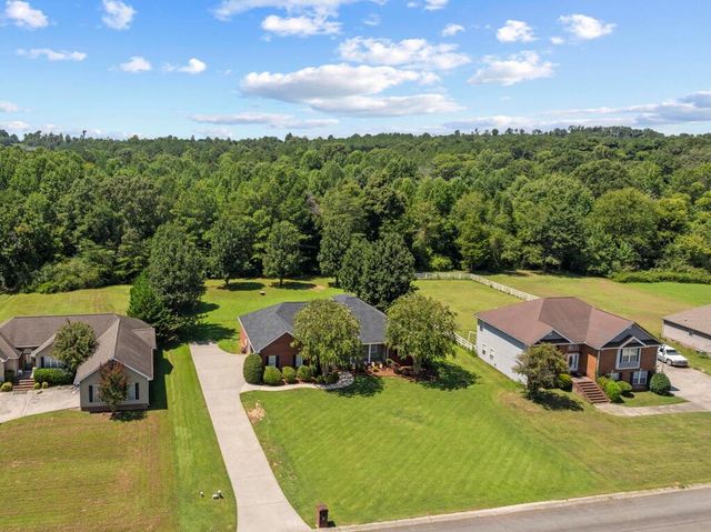94 Chandlers Ridge Drive, Chatsworth, GA 30705