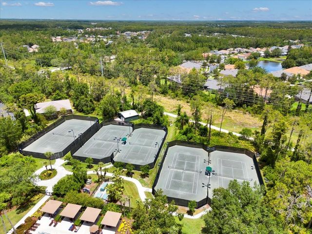 26451 SHOREGRASS DRIVE, Wesley Chapel, FL 33544