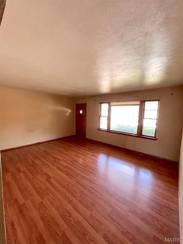 310 S 10TH Street, Belleville, IL 62220