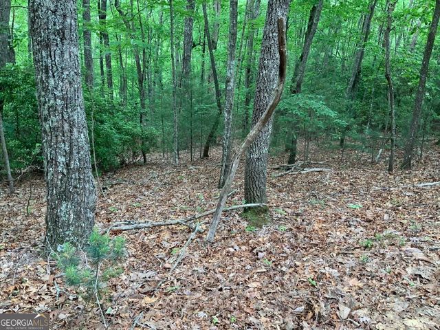 277 Hamilton Road, Blairsville, GA 30512