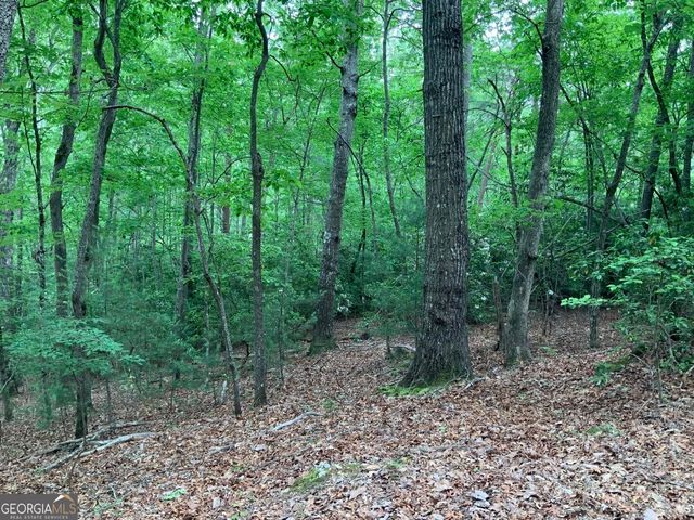 277 Hamilton Road, Blairsville, GA 30512