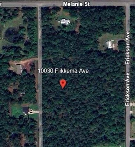 10030 Flikkema Avenue, Hastings, FL 32145