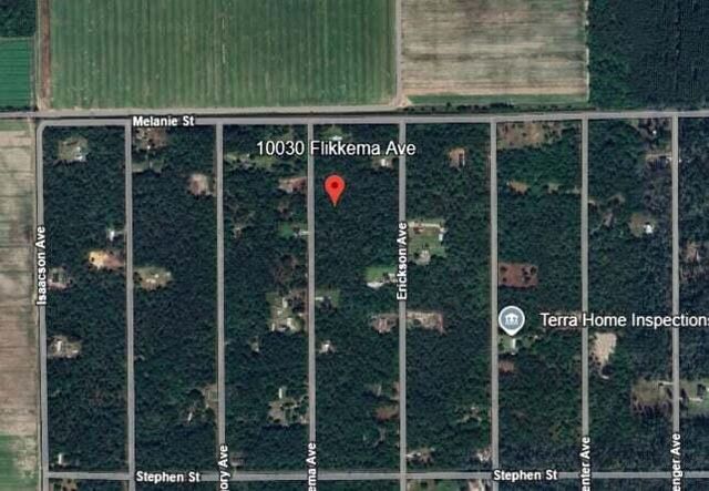 10030 Flikkema Avenue, Hastings, FL 32145