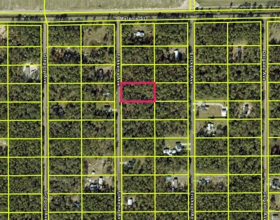 10030 Flikkema Avenue, Hastings, FL 32145