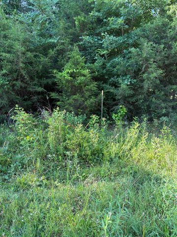 6 Saffles Lane, Madisonville, TN 37354