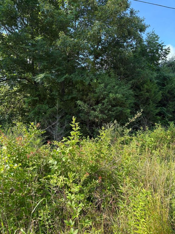 6 Saffles Lane, Madisonville, TN 37354