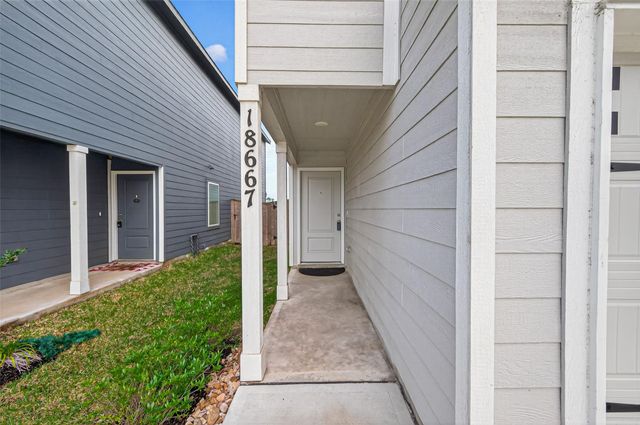 18667 San Salvo Dr Drive, New Caney, TX 77357