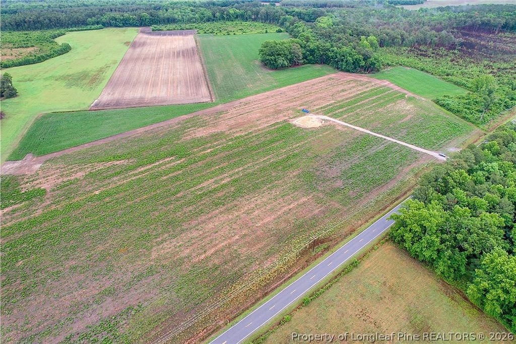 Lot 5 Buie Philadelphus Road, Red Springs, NC 28377 — photo 12