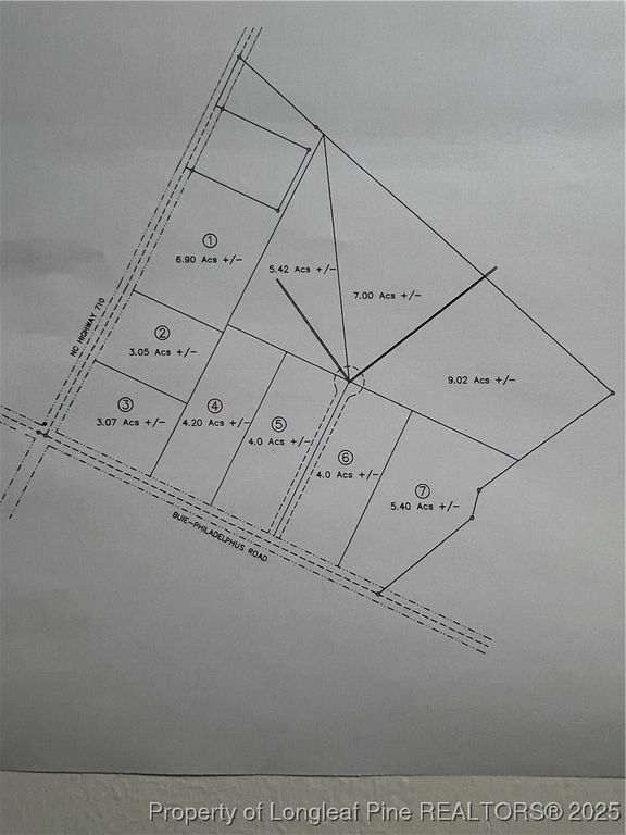 Lot 5 Buie Philadelphus Road, Red Springs, NC 28377 — photo 16
