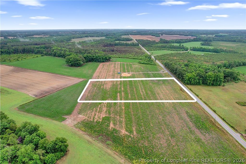 Lot 5 Buie Philadelphus Road, Red Springs, NC 28377 — photo 2