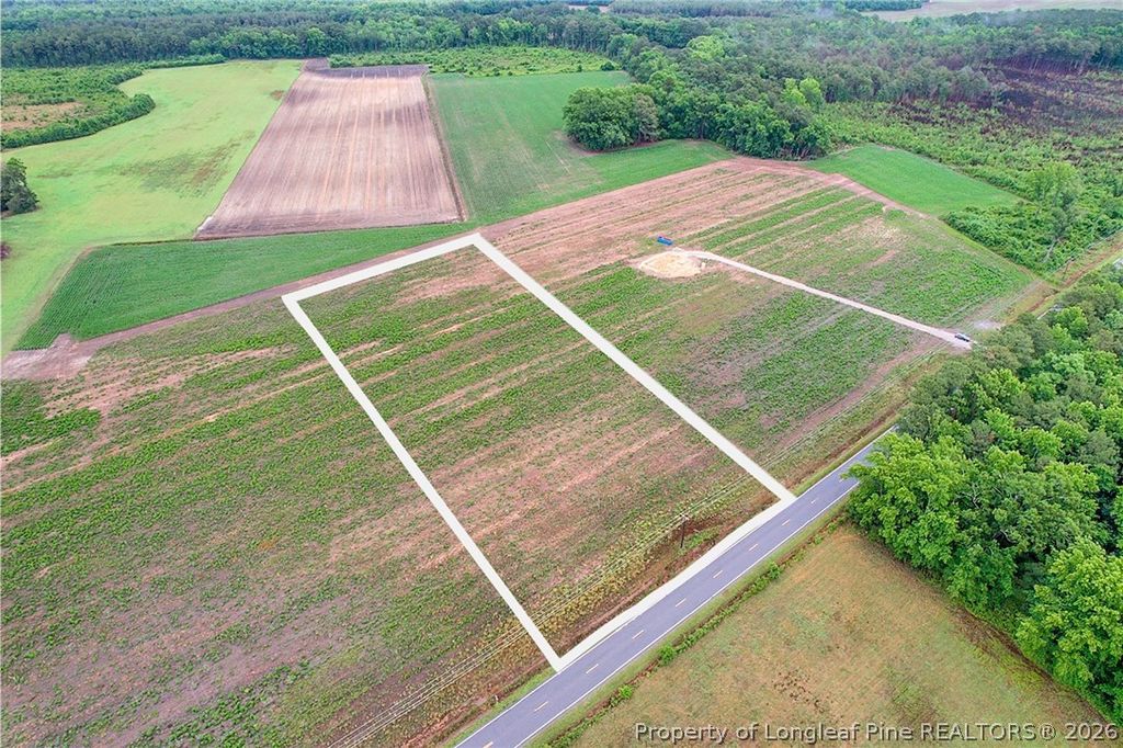 Lot 5 Buie Philadelphus Road, Red Springs, NC 28377 — photo 3