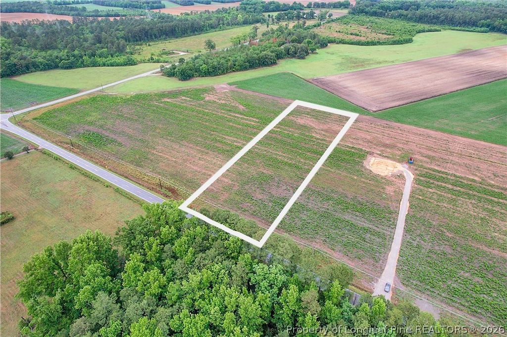 Lot 5 Buie Philadelphus Road, Red Springs, NC 28377 — photo 4
