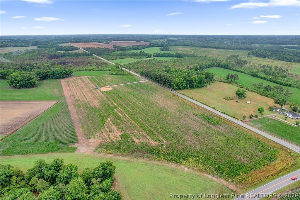 Lot 5 Buie Philadelphus Road, Red Springs, NC 28377 — photo 7