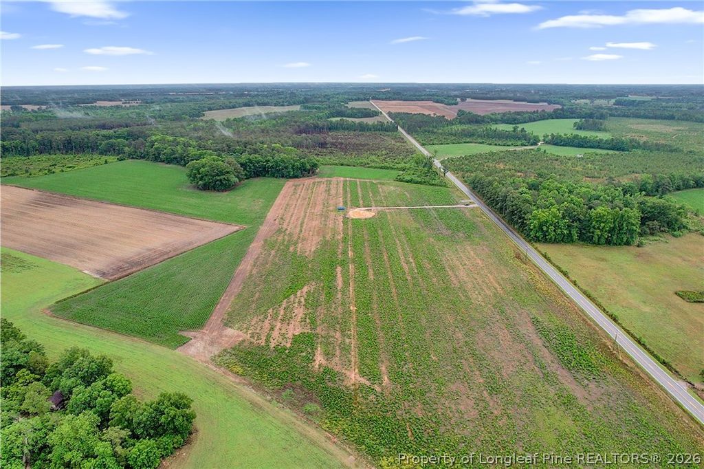 Lot 5 Buie Philadelphus Road, Red Springs, NC 28377 — photo 8
