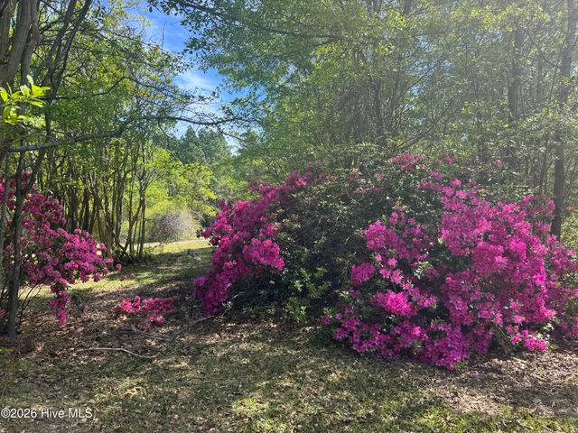 490 Springhill Church Road, Hamlet, NC 28345