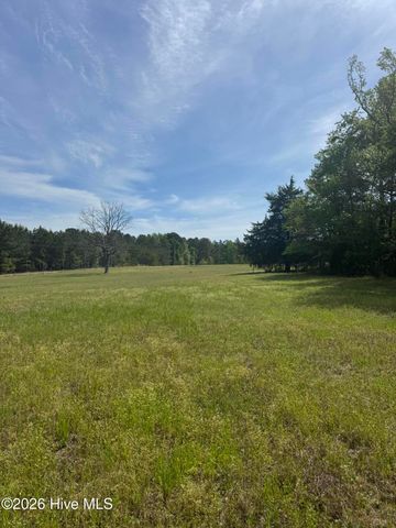 490 Springhill Church Road, Hamlet, NC 28345