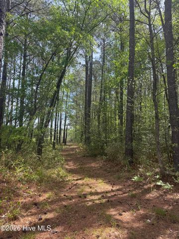 490 Springhill Church Road, Hamlet, NC 28345