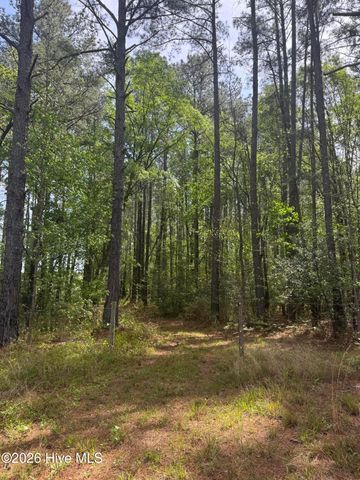 490 Springhill Church Road, Hamlet, NC 28345