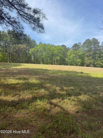 490 Springhill Church Road, Hamlet, NC 28345