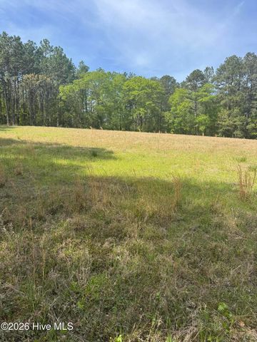 490 Springhill Church Road, Hamlet, NC 28345