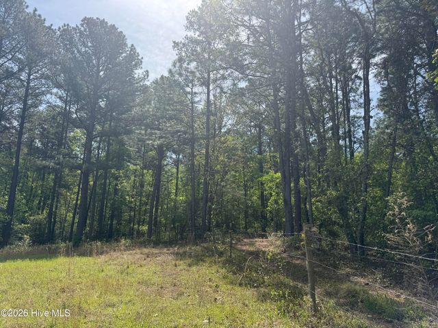490 Springhill Church Road, Hamlet, NC 28345