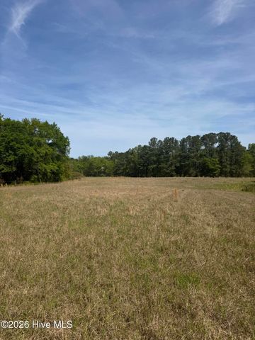 490 Springhill Church Road, Hamlet, NC 28345