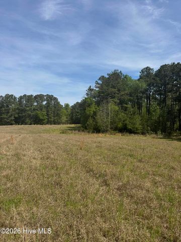 490 Springhill Church Road, Hamlet, NC 28345