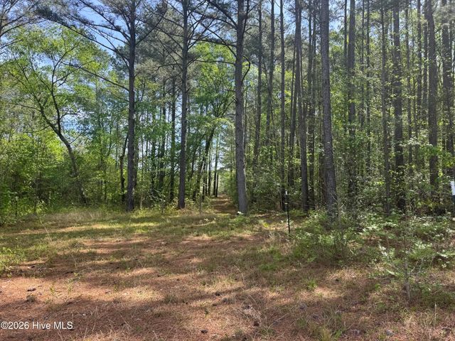 490 Springhill Church Road, Hamlet, NC 28345