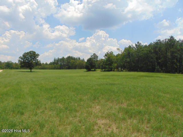 490 Springhill Church Road, Hamlet, NC 28345