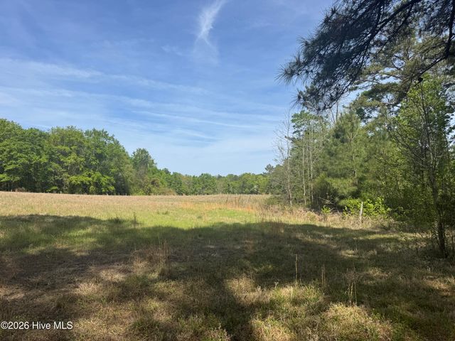 490 Springhill Church Road, Hamlet, NC 28345