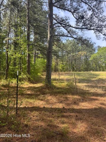 490 Springhill Church Road, Hamlet, NC 28345