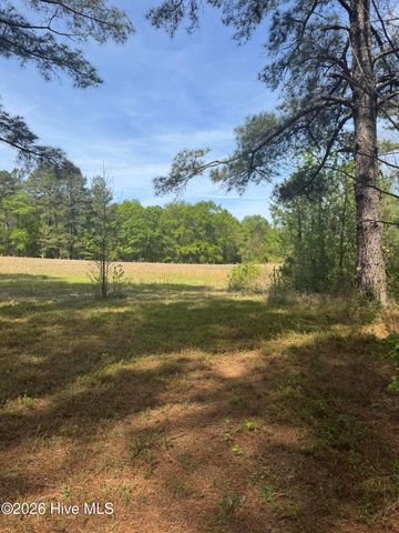 490 Springhill Church Road, Hamlet, NC 28345