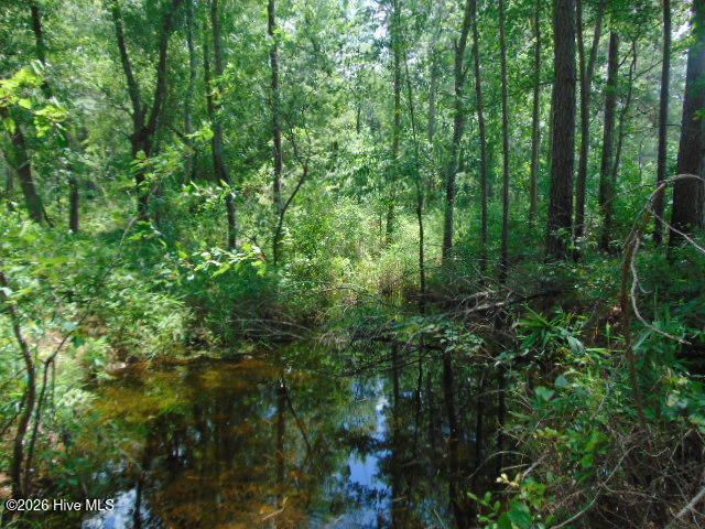 490 Springhill Church Road, Hamlet, NC 28345