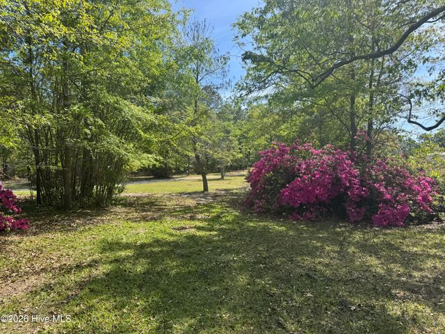 490 Springhill Church Road, Hamlet, NC 28345