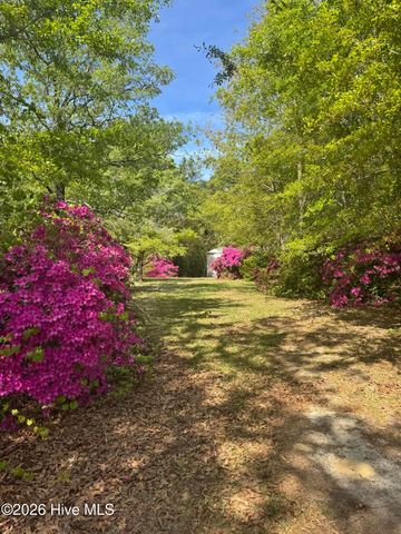 490 Springhill Church Road, Hamlet, NC 28345