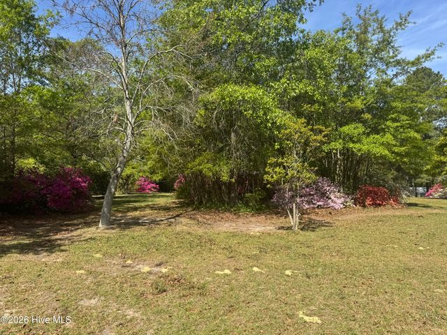490 Springhill Church Road, Hamlet, NC 28345