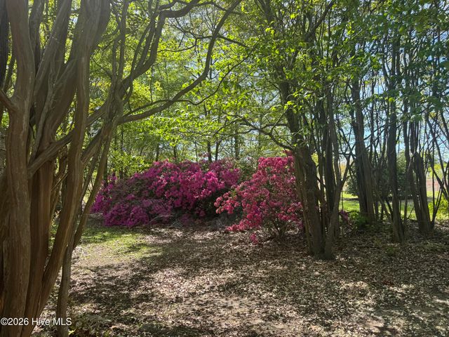 490 Springhill Church Road, Hamlet, NC 28345
