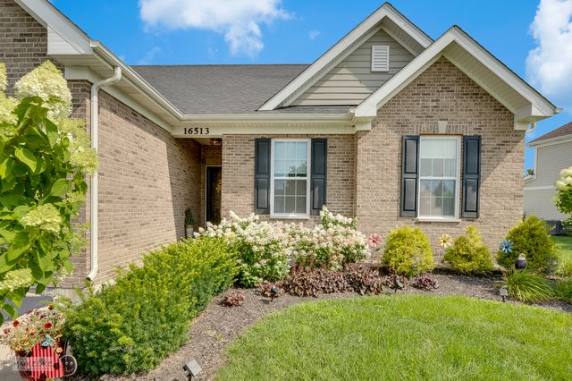 16513 Mueller Circle, Plainfield, IL 60586
