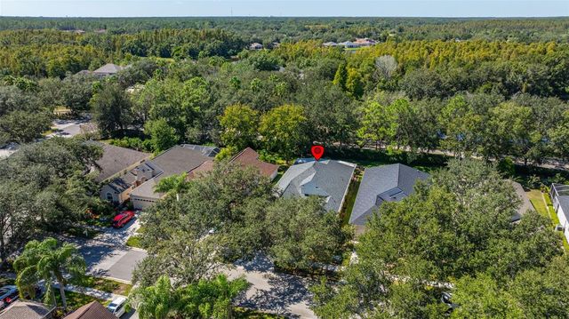 17910 TIMBER VIEW STREET, Tampa, FL 33647