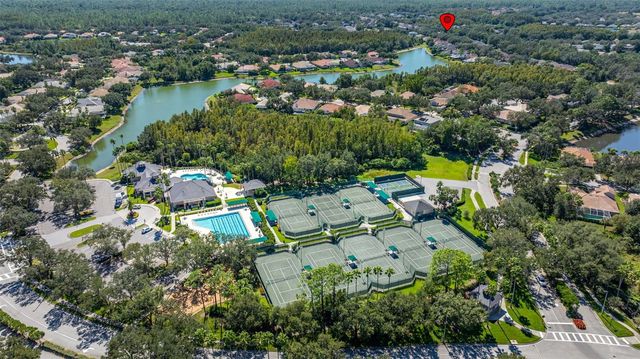 17910 TIMBER VIEW STREET, Tampa, FL 33647