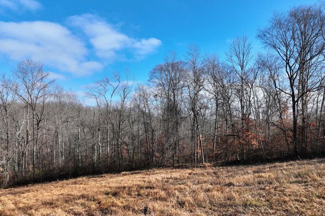 0 Johnnie Rd, Indian Mound, TN 37079