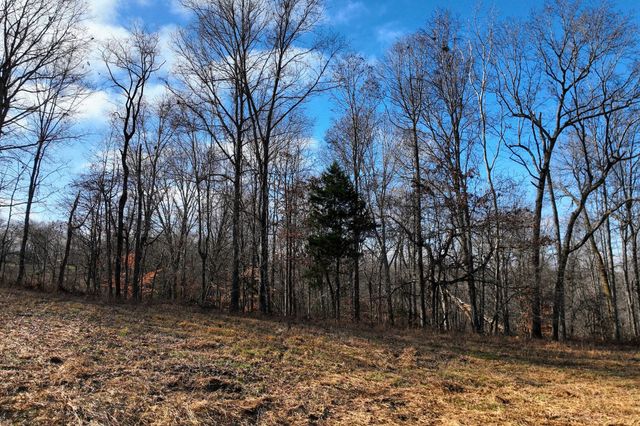 0 Johnnie Rd, Indian Mound, TN 37079