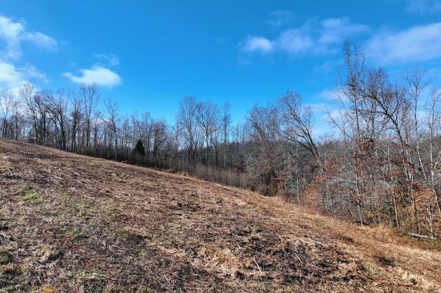 0 Johnnie Rd, Indian Mound, TN 37079