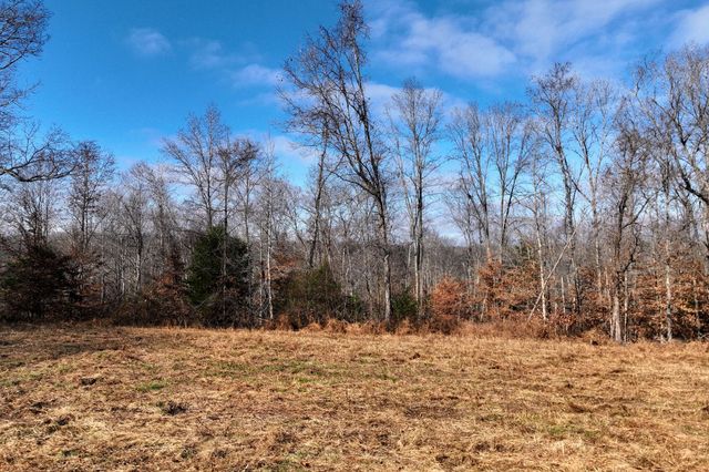 0 Johnnie Rd, Indian Mound, TN 37079