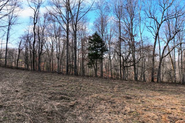 0 Johnnie Rd, Indian Mound, TN 37079