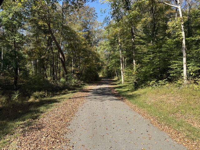 0 Johnnie Rd, Indian Mound, TN 37079
